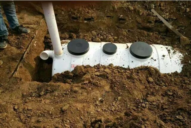 蘑菇视频app污版下载安装工艺图